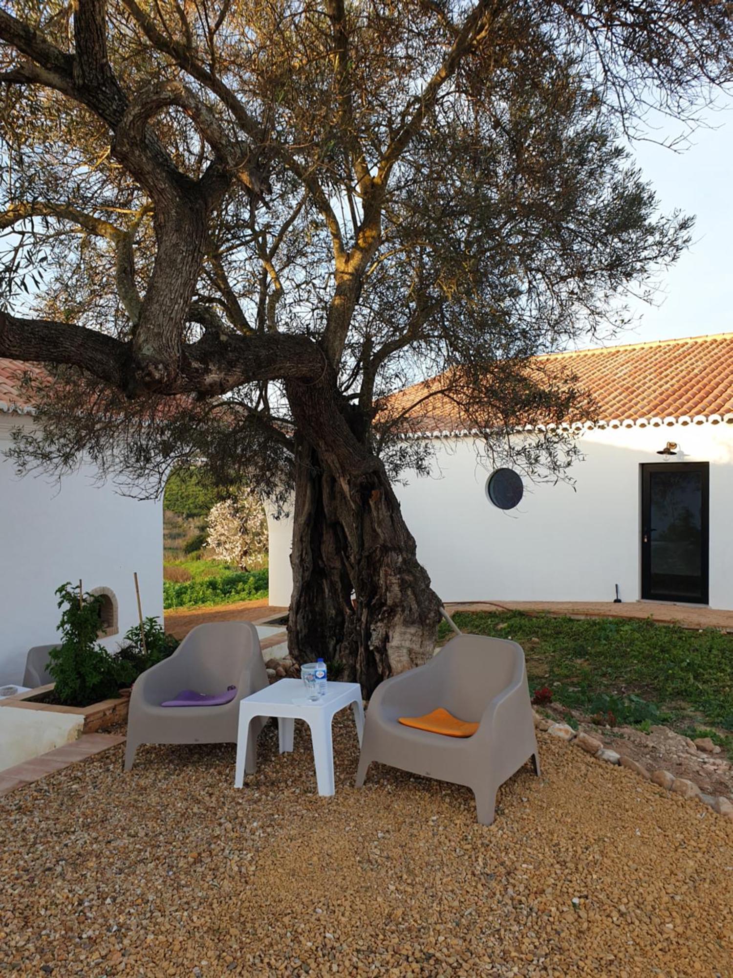 Monte Das Acoteias - Agroturismo تافيرا المظهر الخارجي الصورة
